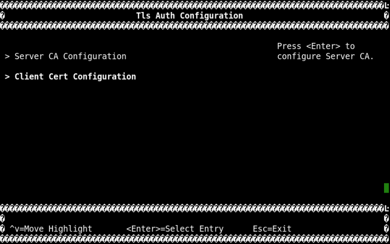 tls-auth-configuration.png