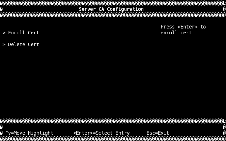 server-ca-configuration.png