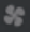 worddave4e37e985fd12f6ed26a8a1fe5e0f60a.png