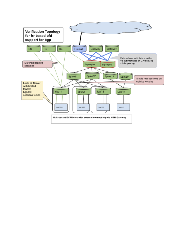 HBN - frr bgp support - Google Docs.png