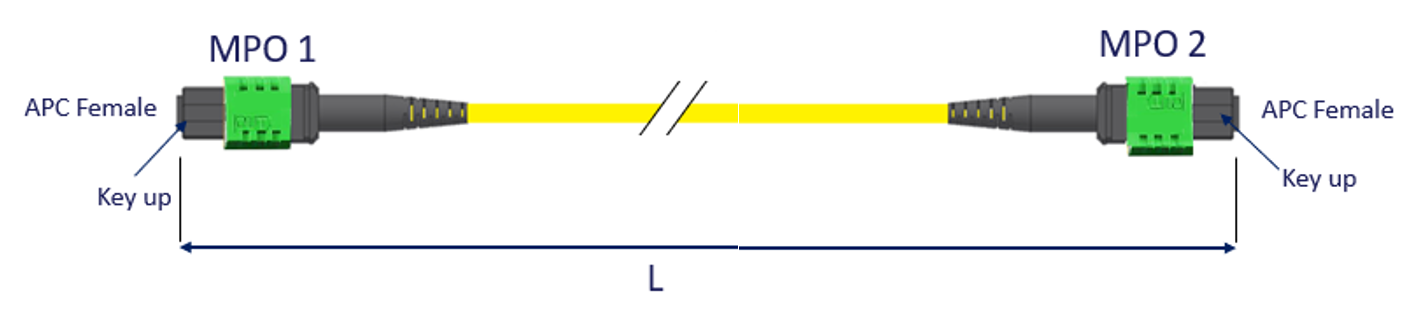 image2023-6-3_0-9-18.png