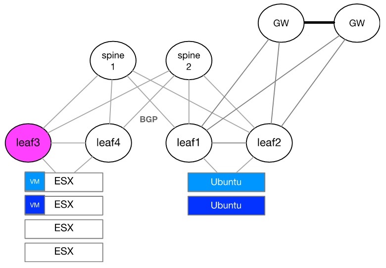 Example of How To Configure EVPN_LI.jpg