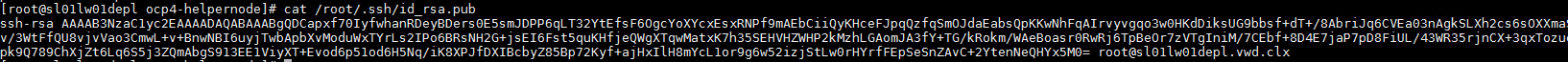 OCP Assisted  Install 12.PNG