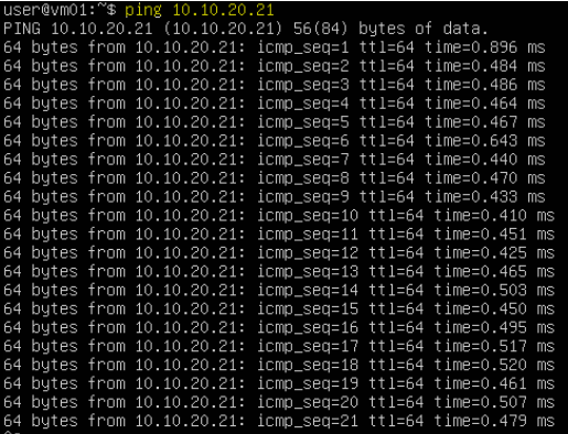 UPT vmotion ping check .png