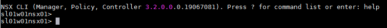 NSX T manager install 19.PNG