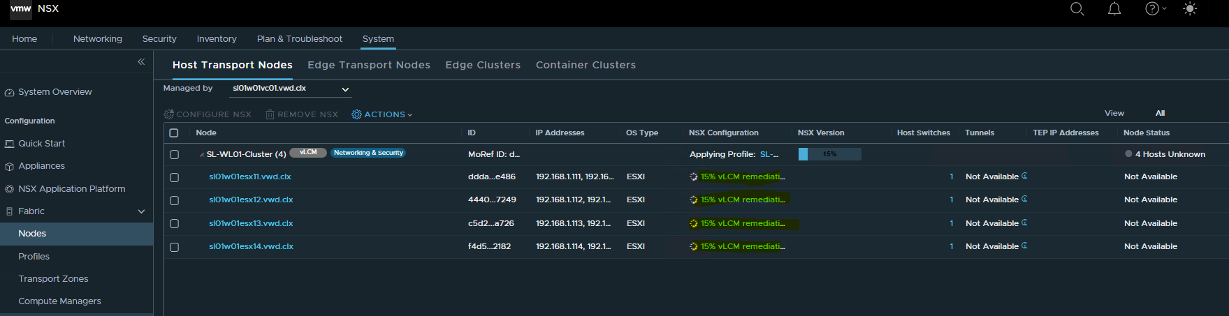 Add Host Transport Node 07.png