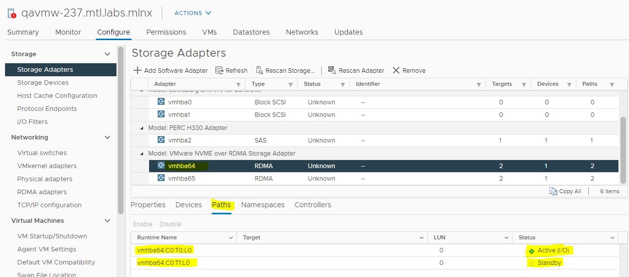 VMware RDMA Client Mounting 12.PNG