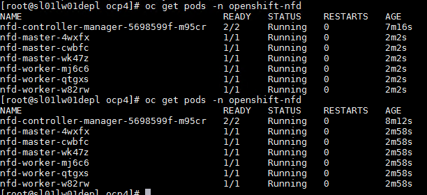 NFD Install 10.PNG