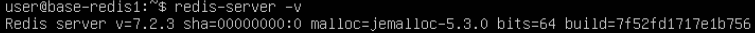 Redis installed version.png