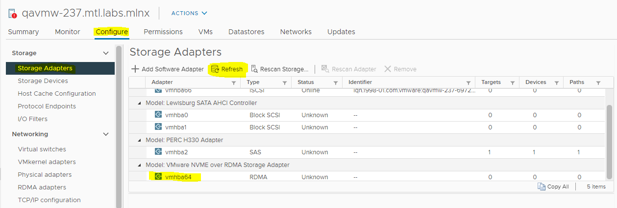 VMware RDMA Client Mounting 4.PNG