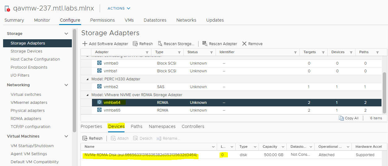 VMware RDMA Client Mounting 13.PNG