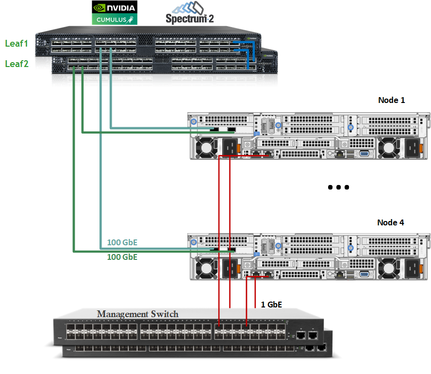 WL01 Physical Network.png