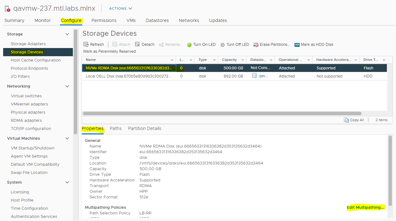 VMware RDMA Client Mounting 15.PNG
