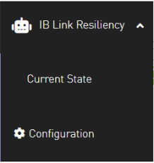 iblr-4.PNG